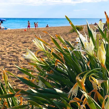 Nilosira 3* Morciano di Leuca