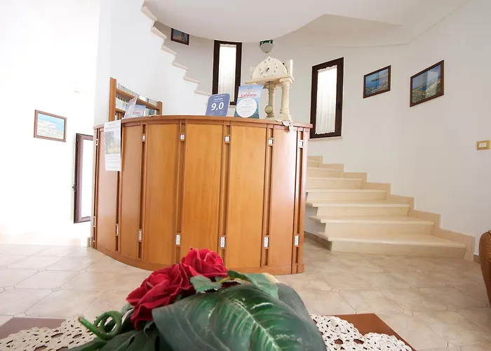 Nilosira 莫尔恰诺迪莱乌卡