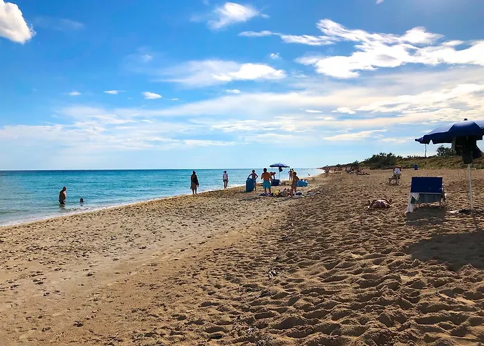 Nilosira 莫尔恰诺迪莱乌卡