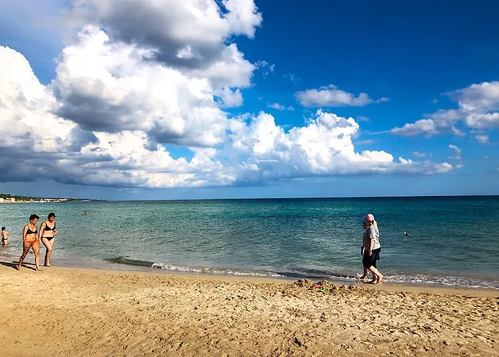 Nilosira 莫尔恰诺迪莱乌卡