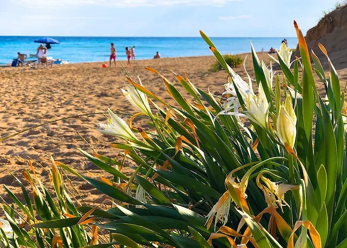 Nilosira 3* 莫尔恰诺迪莱乌卡