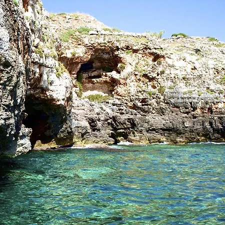 Nilosira