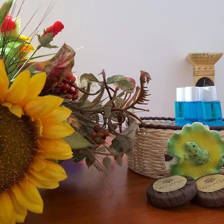 Nilosira Bed and breakfast Morciano di Leuca